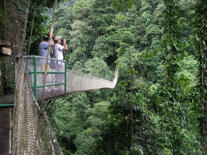 Baumkronenpfad Costa Rica